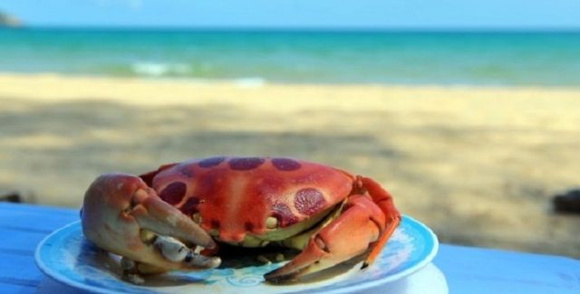 Thưởng thức món ngon Cua này bên cạnh bờ biển vô cùng phong vị (Ảnh: ST)