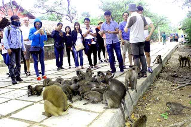 Khách tham quan đến với đảo Khỉ (Ảnh: ST)