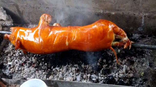 Những món ăn được chế biến từ lợn cắp nách - hồ Trại Tiểu 01 Những món ăn được chế biến từ lợn cắp nách - hồ Trại Tiểu 01