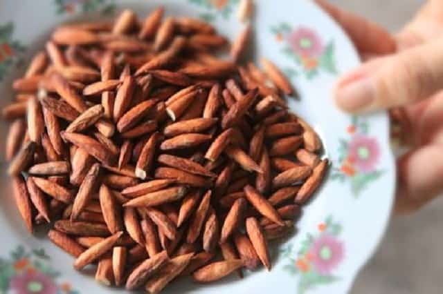 Mứt hạt bàng là một thứ quà đặc sản mang đậm dấu ấn Côn Đảo (Ảnh sưu tầm)