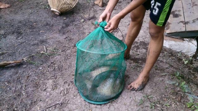 Tham gia các hoạt động vui chơi ngoài trời Tham gia các hoạt động vui chơi ngoài trời