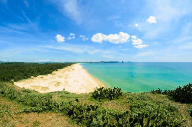 Bãi xép một trong 10 bãi biển Phú Yên đẹp