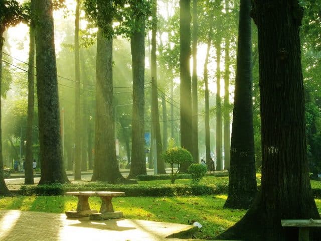 Công viên Tao Đàn trong nắng