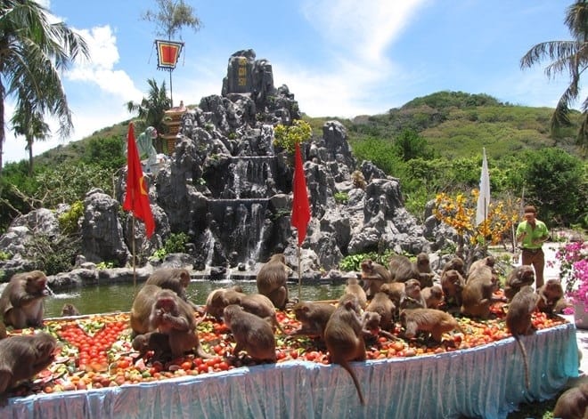 Vương quốc đảo khỉ (Ảnh ST)