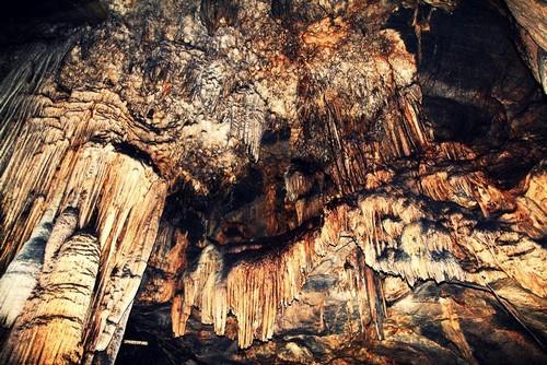 Những chùm nhũ đá trên đỉnh trần động Từ Thức Những chùm nhũ đá trên đỉnh trần động Từ Thức