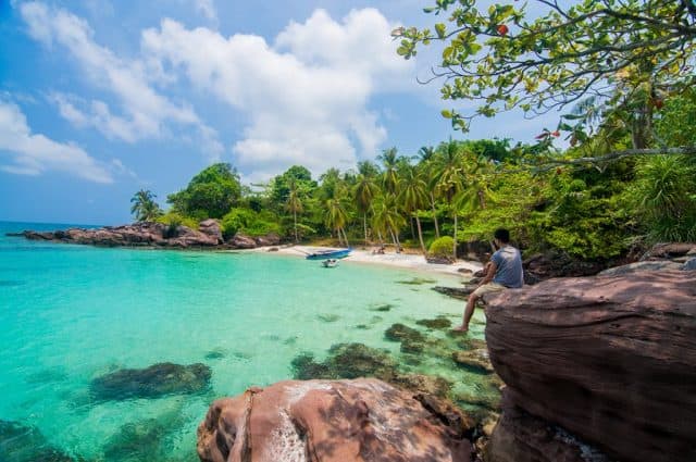 Hàng dừa xanh vươn mình trong gió biển Hàng dừa xanh vươn mình trong gió biển