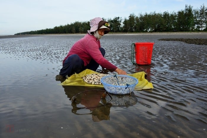 Hải sản tươi sống được người dân biển Cần Giờ thành phố Hồ Chí Minh bày bán ở chợ Hải sản tươi sống được người dân biển Cần Giờ thành phố Hồ Chí Minh bày bán ở chợ