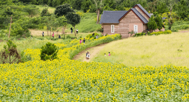 nong-trai-da-lat-2-e1504775911228.png