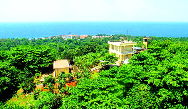 Rừng cây nhiệt đới tại đảo Cồn Cỏ Rừng cây nhiệt đới tại đảo Cồn Cỏ