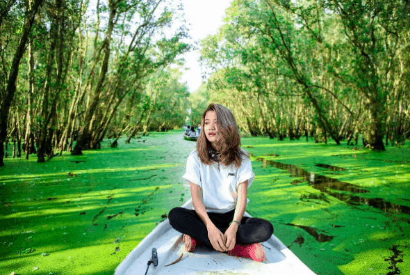 Tham quan rừng tràm Tham quan rừng tràm