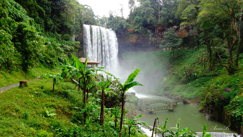 Thác Dam'bri Đà Lạt Thác Dam'bri Đà Lạt