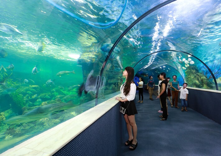 Thủy cung Vinpearl Aquarium 