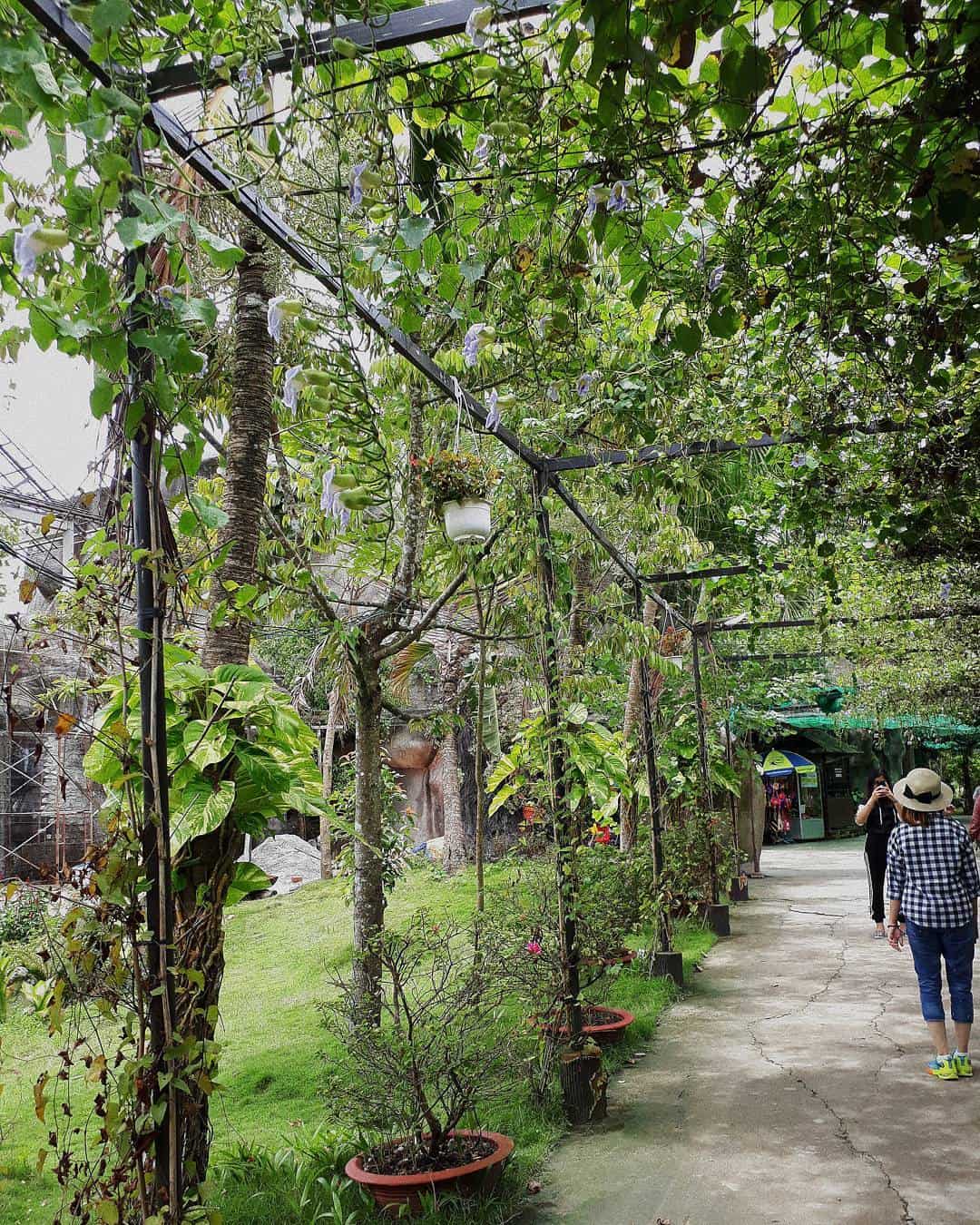 Con đường dẫn đến vựa trái cây Con đường dẫn đến vựa trái cây