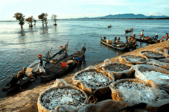 Thời điểm lý tưởng để du lịch Miền Tây là vào mùa khô (ảnh sưu tầm) du lịch miền tây tự túc
