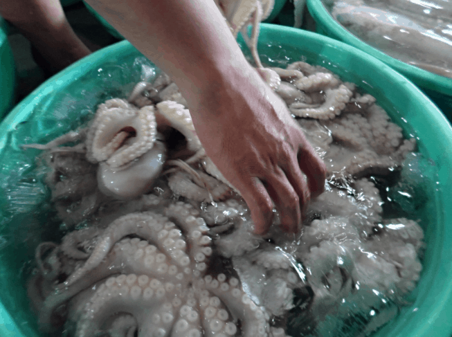 Hải sản là lựa chọn không thể thiếu trong chuyến du lịch Cần Giờ 1 ngày (ảnh sưu tầm)