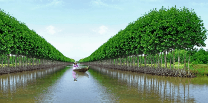 Cà Mau là địa điểm không nên bỏ qua khi du lịch miền Tây tự túc (ảnh sưu tầm) Cà Mau là địa điểm không nên bỏ qua khi du lịch miền Tây tự túc (ảnh sưu tầm)