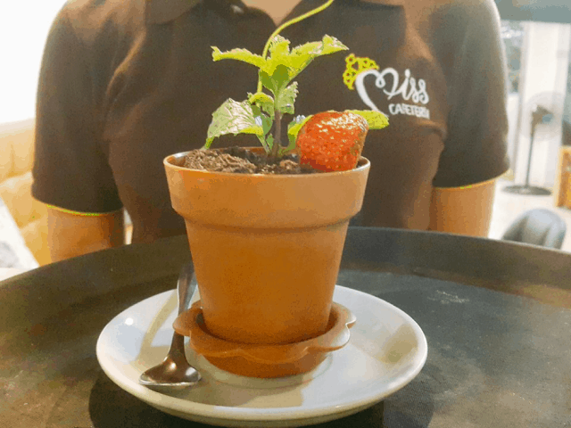 Miss Cafeteria - quán cafe đẹp ở Huế 01 Miss Cafeteria - quán cafe đẹp ở Huế 01