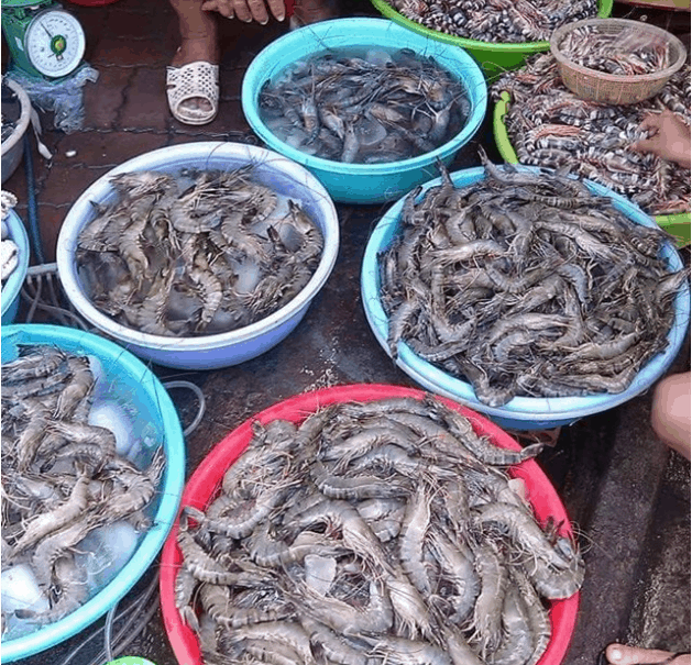 Tôm trong chợ có nhiều loại mà rất tươi ngon