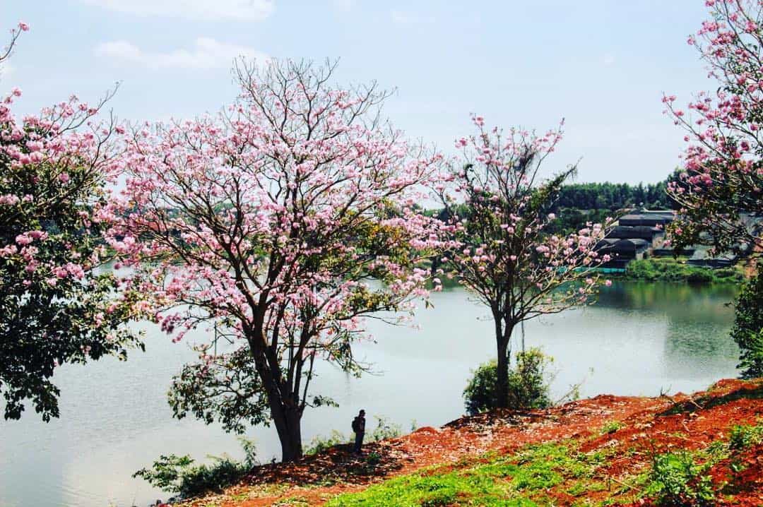 Hồ Nam Phương - du lịch Bảo Lộc 01