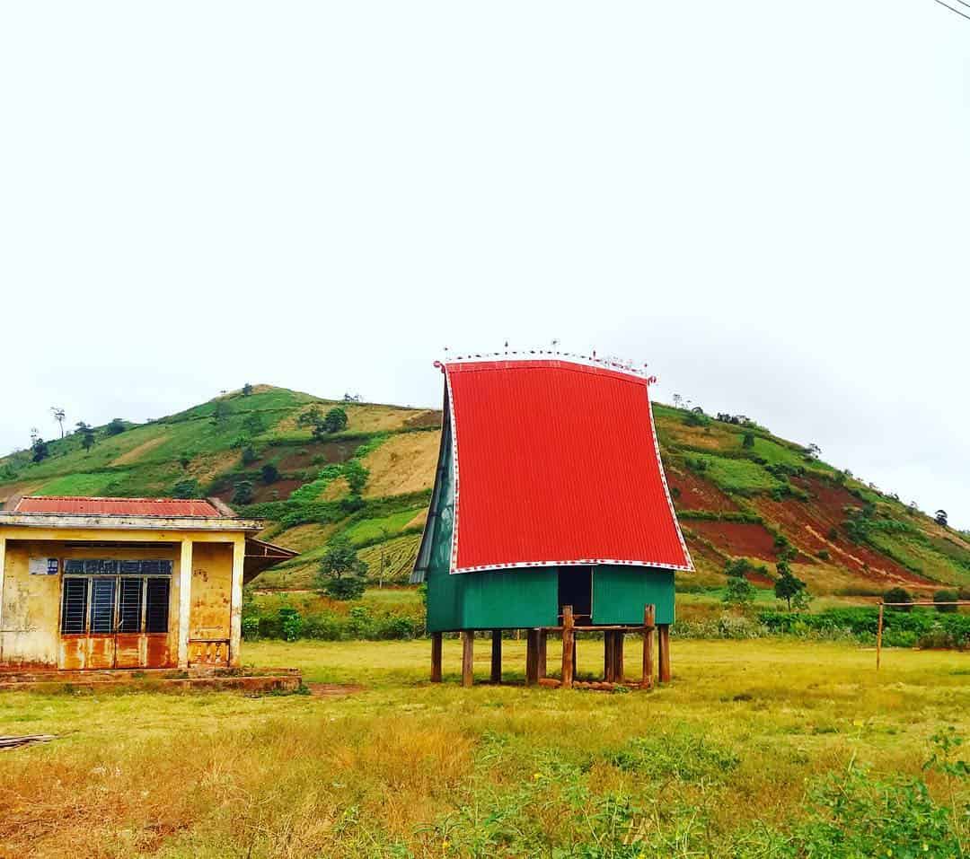 Ai đến Tây Nguyên mùa này mà không ghé Chư Đăng Ya ngắm dã quỳ có lẽ sẽ là thiếu sót lớn của chuyến đi  (Ảnh: ST)