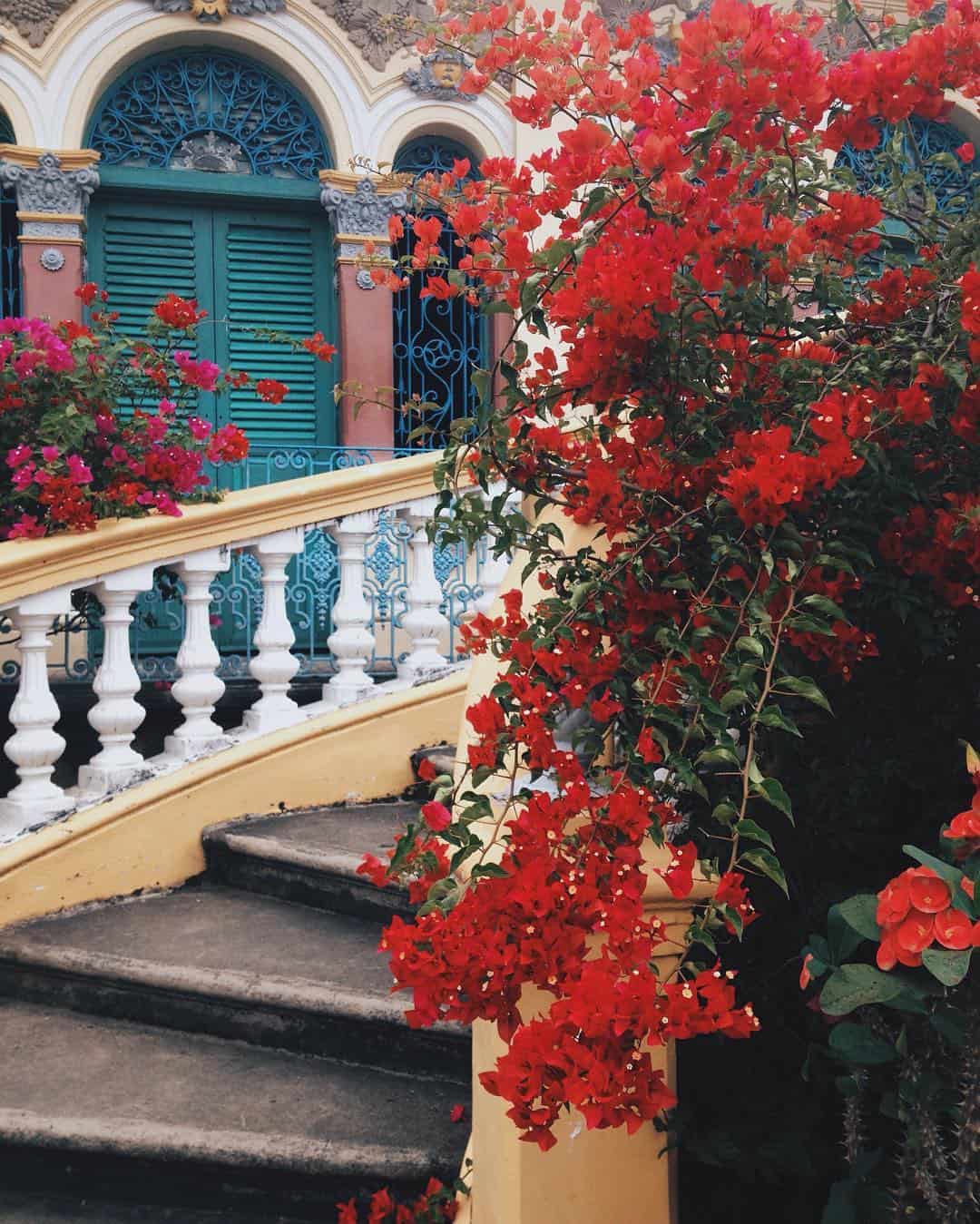 Ngôi nhà này còn được biết đến như “Vườn hoa Bình Thủy” Ngôi nhà này còn được biết đến như “Vườn hoa Bình Thủy”