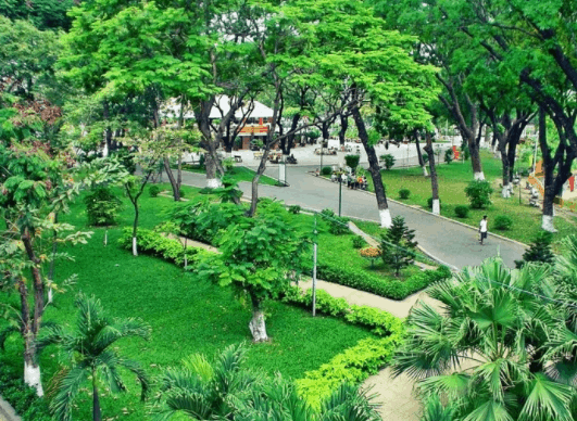 Khung cảnh trong xanh, mát mẻ tại công viên Hoàng Văn Thụ Khung cảnh trong xanh, mát mẻ tại công viên Hoàng Văn Thụ