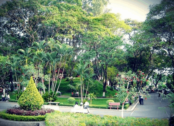 Lối vào công viên Hoàng Văn Thụ ngậm tràn màu sắc hoa lá, cây cỏ Lối vào công viên Hoàng Văn Thụ ngậm tràn màu sắc hoa lá, cây cỏ