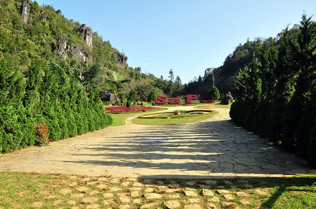 Vườn hoa ở núi Hàm Rồng 