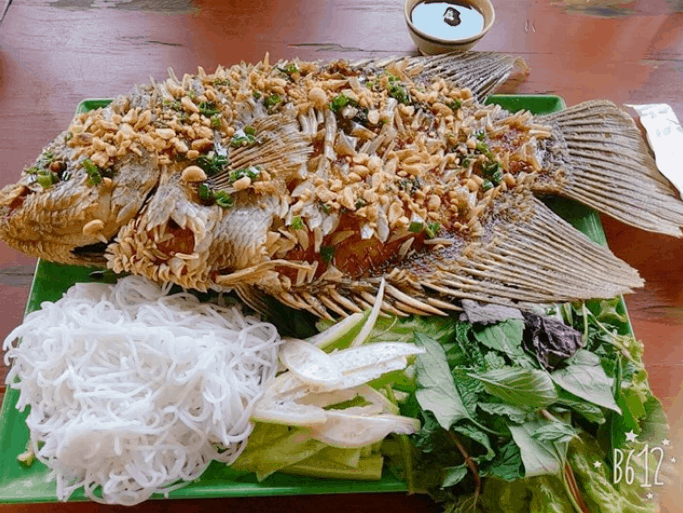 Cá (sưu tầm) khu du lịch làng bè bến tre