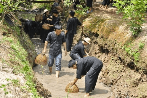 Trò tát mương bắt cá ở Phong Điền (Ảnh ST)