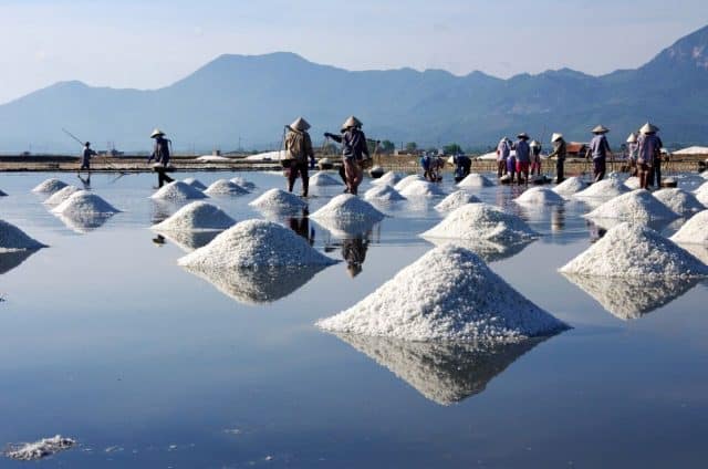 Ruộng muối Sa Huỳnh (Ảnh sưu tầm) 
