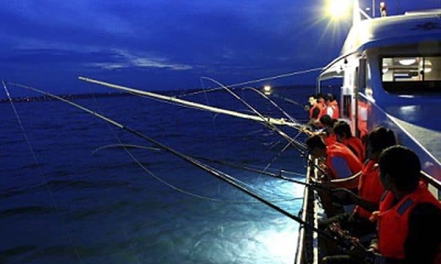Câu mực đêm là một trải nghiệm thú vị (Ảnh sưu tầm)
