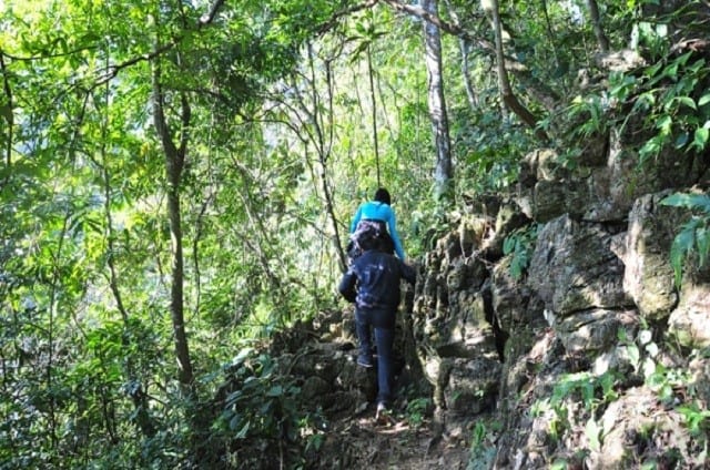 ngũ động bản ôn