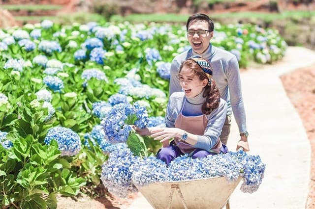 Thung lũng hoa Cẩm Tú Cầu 