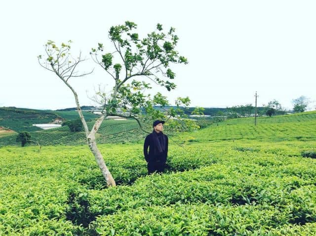 Đồi chè Cầu Đất 05