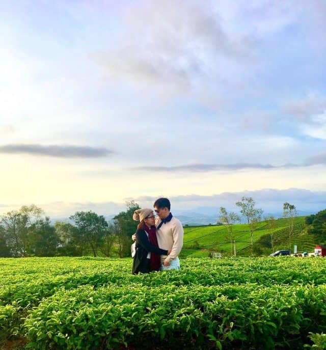 Đồi chè Cầu Đất 01 