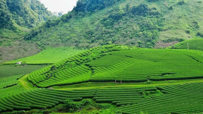 đường vào ngũ động bản ôn