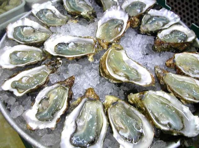 Hàu tươi ngon ở đầm Lập An 