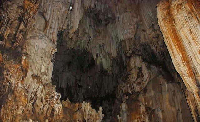 ngũ động bản ôn