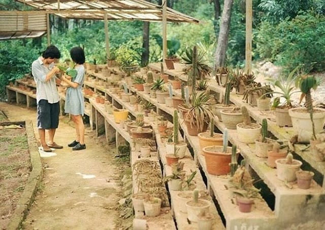 nha kinh xuong rong