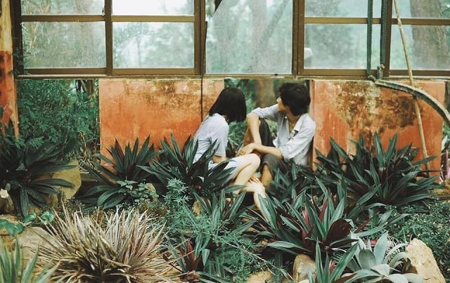 nha kinh xuong rong