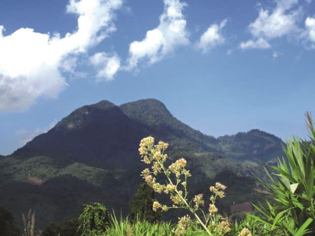 Núi Cà Đam (Ảnh sưu tầm) 