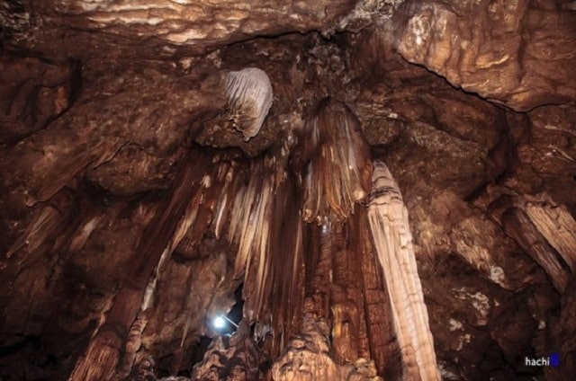 ngũ động bản ôn