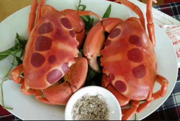 Hải sản biển cua mặt trăng 