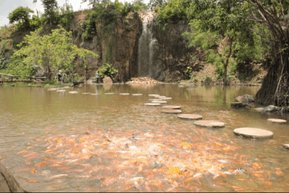 Cảnh quan khu du lịch Bửu Long
