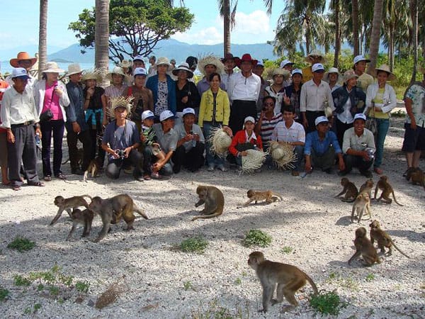 Có khoảng 1.200 con khỉ trên đảo (Ảnh ST)