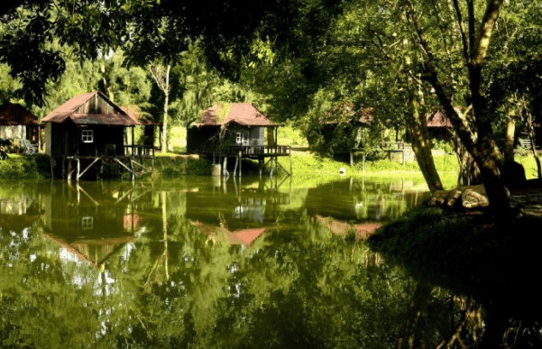 Những ngôi nhà gỗ nằm giữa thiên nhiên xanh mát Những ngôi nhà gỗ nằm giữa thiên nhiên xanh mát