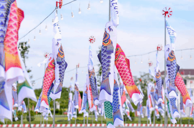 cánh đồng cá Koi