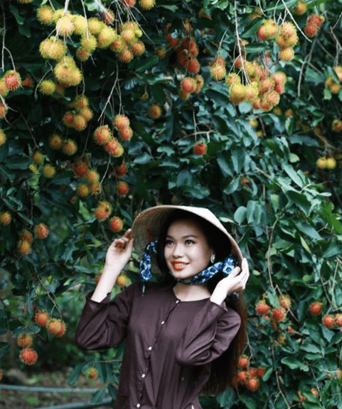 khu du lịch sinh thái thác đá hàn