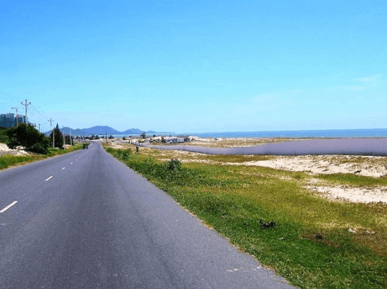 Đường vào rất đẹp (sưu tầm) bãi biển Vũng Tàu ít người biết